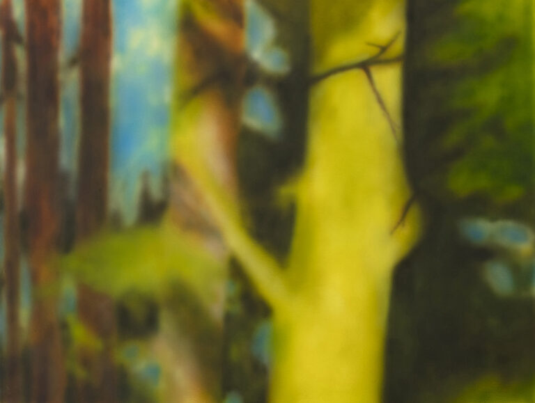 Yves Scherer – The brightest day